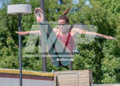 Thumbnail 1 in CIF State Girls Diving Championships photogallery.