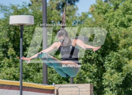 Thumbnail 1 in CIF State Girls Diving Championships photogallery.