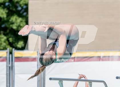 Thumbnail 2 in CIF State Girls Diving Championships photogallery.