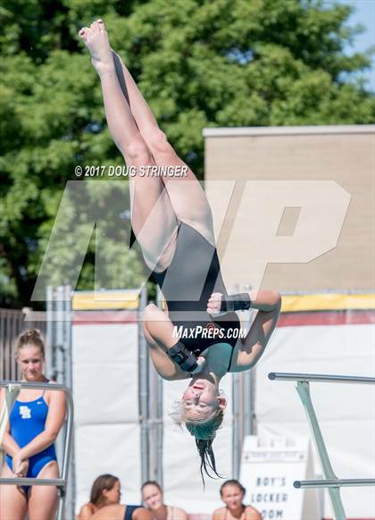 Thumbnail 2 in CIF State Girls Diving Championships photogallery.