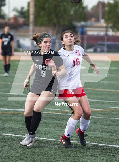 Thumbnail 3 in Palm Desert vs South Pasadena (Best of the West Tournament) photogallery.