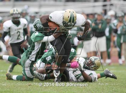 Thumbnail 1 in Longwood @ William Floyd photogallery.