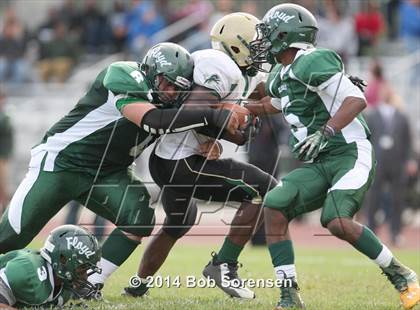 Thumbnail 2 in Longwood @ William Floyd photogallery.