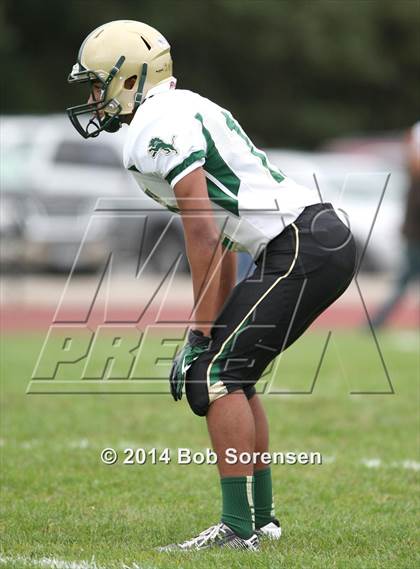 Thumbnail 1 in Longwood @ William Floyd photogallery.