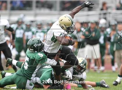 Thumbnail 3 in Longwood @ William Floyd photogallery.