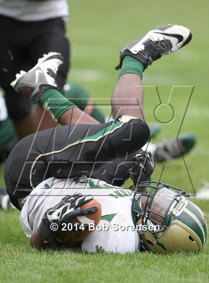 Thumbnail 3 in Longwood @ William Floyd photogallery.