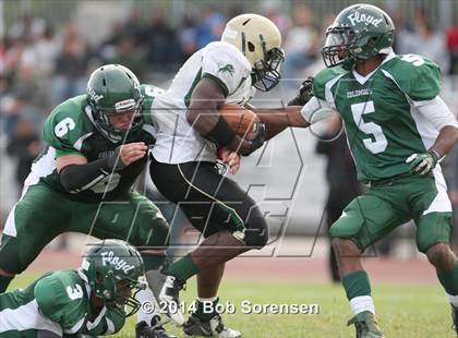 Thumbnail 1 in Longwood @ William Floyd photogallery.