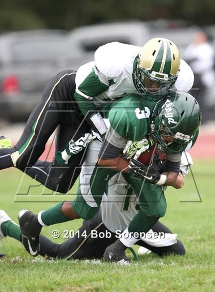 Thumbnail 3 in Longwood @ William Floyd photogallery.