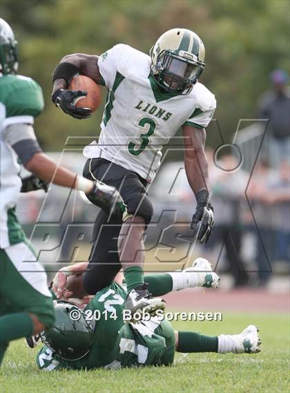 Thumbnail 2 in Longwood @ William Floyd photogallery.