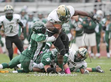Thumbnail 2 in Longwood @ William Floyd photogallery.