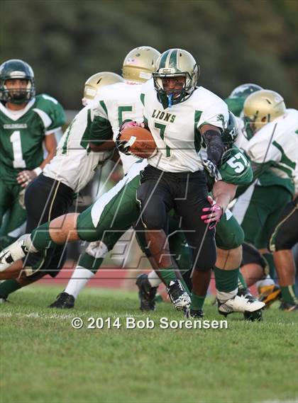 Thumbnail 2 in Longwood @ William Floyd photogallery.