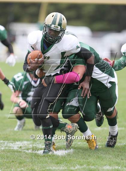Thumbnail 1 in Longwood @ William Floyd photogallery.