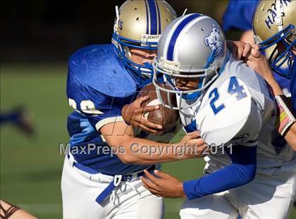 Thumbnail 3 in Bunnell @ Newtown photogallery.
