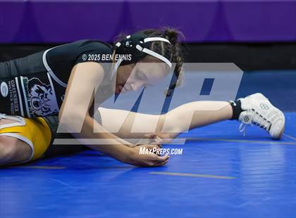 Thumbnail 2 in GHSA D1 Duals Championship  Semifinals photogallery.