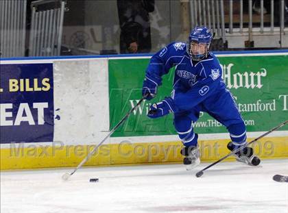 Thumbnail 1 in West Haven vs North Haven (Sound Tigers Harbor Yard Series) photogallery.