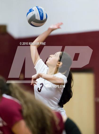 Thumbnail 3 in JV: Valley Central @ Kingston photogallery.