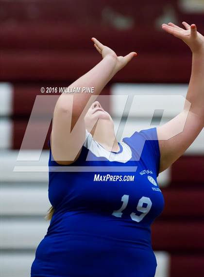 Thumbnail 1 in JV: Valley Central @ Kingston photogallery.