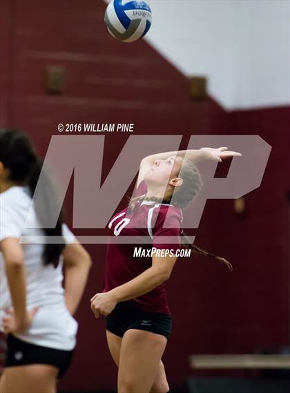 Thumbnail 1 in JV: Valley Central @ Kingston photogallery.