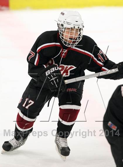 Thumbnail 3 in Park Regional vs Wayne Valley (Ice Vault Tournament) photogallery.