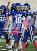 Photo from the gallery "Cactus @ Canyon View"