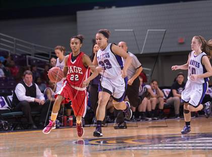 Thumbnail 2 in Page vs Porter Ridge (NCHSAA 4A Western Regional Final) photogallery.