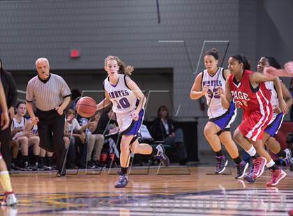 Thumbnail 3 in Page vs Porter Ridge (NCHSAA 4A Western Regional Final) photogallery.