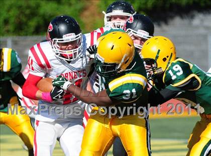 Thumbnail 2 in Branford @ Hamden photogallery.