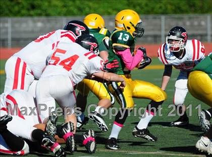 Thumbnail 1 in Branford @ Hamden photogallery.