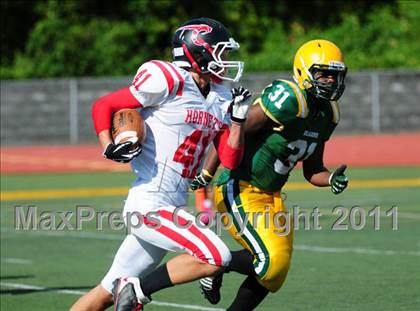 Thumbnail 3 in Branford @ Hamden photogallery.