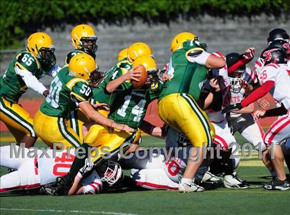 Thumbnail 2 in Branford @ Hamden photogallery.