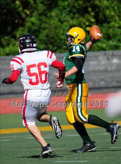 Thumbnail 2 in Branford @ Hamden photogallery.