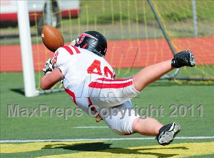 Thumbnail 1 in Branford @ Hamden photogallery.