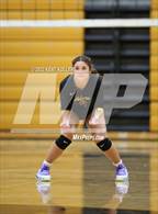 Photo from the gallery "Walled Lake Western @ Adams"