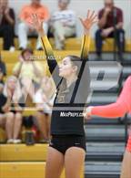 Photo from the gallery "Walled Lake Western @ Adams"