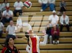 Photo from the gallery "Monroe @ Newport - Bellevue"