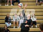 Photo from the gallery "Monroe @ Newport - Bellevue"