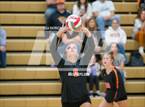Photo from the gallery "Monroe @ Newport - Bellevue"