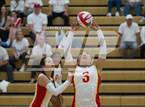 Photo from the gallery "Monroe @ Newport - Bellevue"