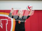 Photo from the gallery "Monroe @ Newport - Bellevue"