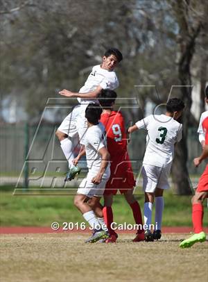 Saturday, Jan 30, 2016