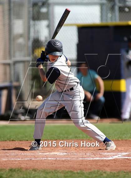 Thumbnail 2 in Douglas vs. Flowing Wells (Panther Invitational) photogallery.