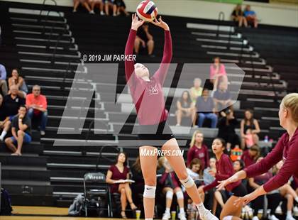 Thumbnail 1 in Rouse @ Vandegrift photogallery.