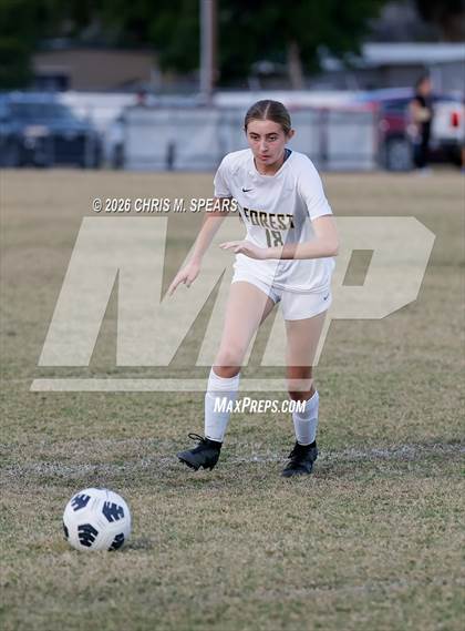 Thumbnail 1 in Forest @ Vanguard photogallery.