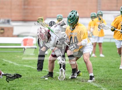 Thumbnail 3 in Morris Knolls @ Morristown photogallery.