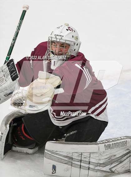 Thumbnail 1 in Webster Thomas vs Aquinas Institute (Section V Class B Final) photogallery.