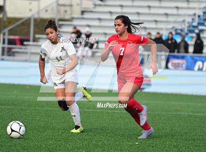 Thumbnail 3 in Amity Regional vs. Greenwich (CIAC Class LL Final) photogallery.