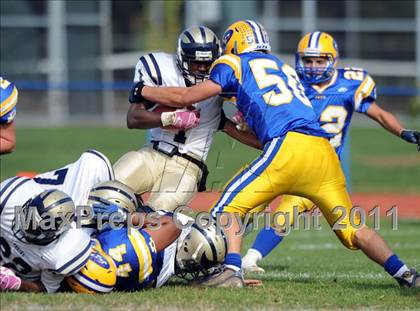 Thumbnail 2 in Baldwin @ East Meadow photogallery.