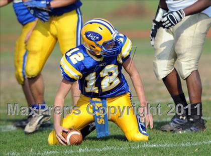 Thumbnail 3 in Baldwin @ East Meadow photogallery.
