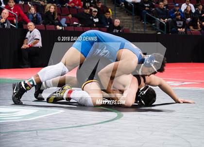 Thumbnail 1 in CIF State Boys Wrestling Championships (Semifinals) photogallery.