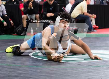 Thumbnail 2 in CIF State Boys Wrestling Championships (Semifinals) photogallery.